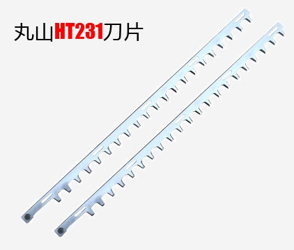 HT231