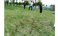 太原靈石森林公園
